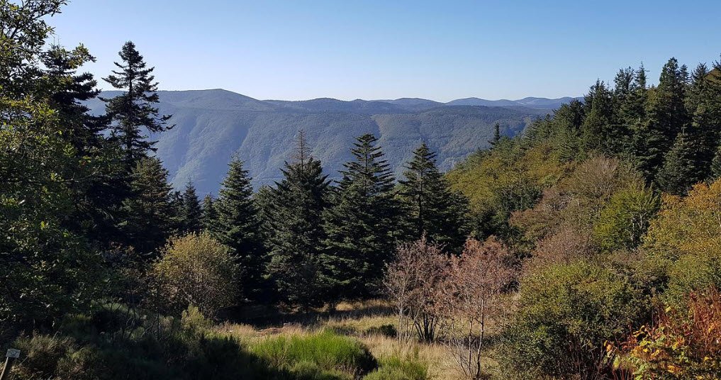 Arborétum de l'Hort de Dieu, , France
